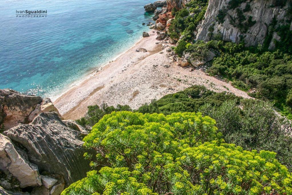 appartamento Oleandro Cala Gonone Esterno foto